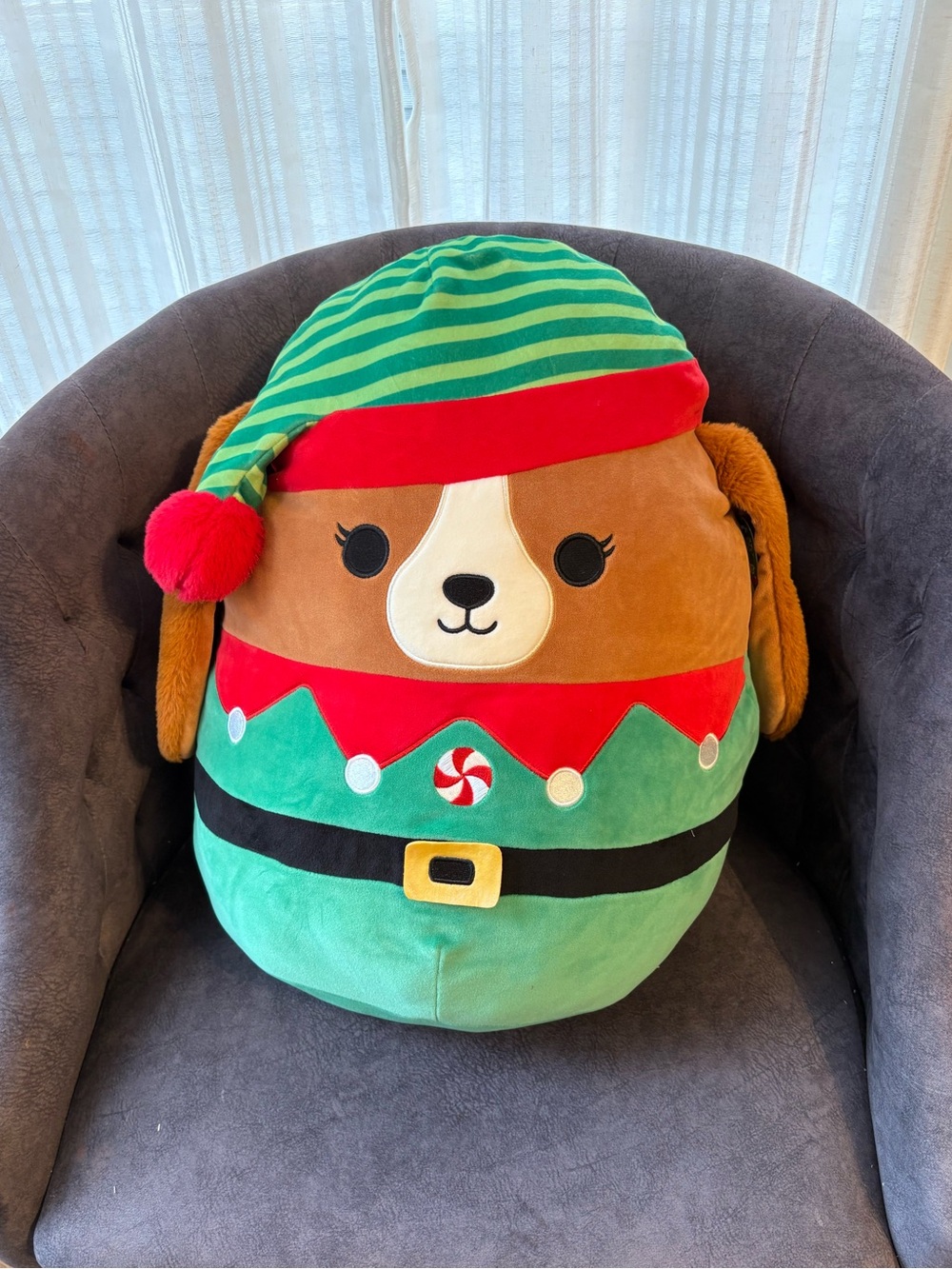 Darcy the Elf Dog Squishmallow 18”